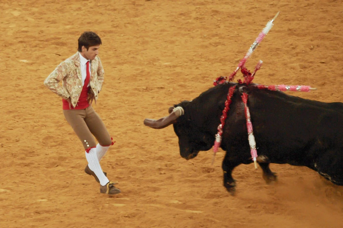 Dancing with Bulls (Apr. 2010)
