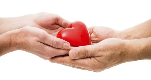 What's really in a heart?