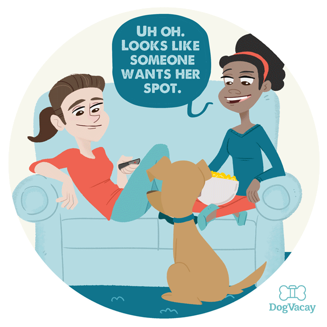 DV_Couch.gif