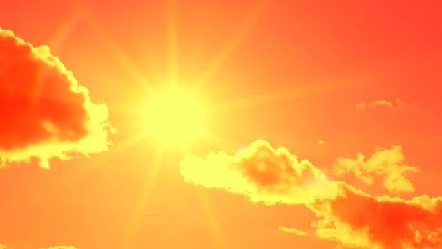 In The Sunlight (2026)