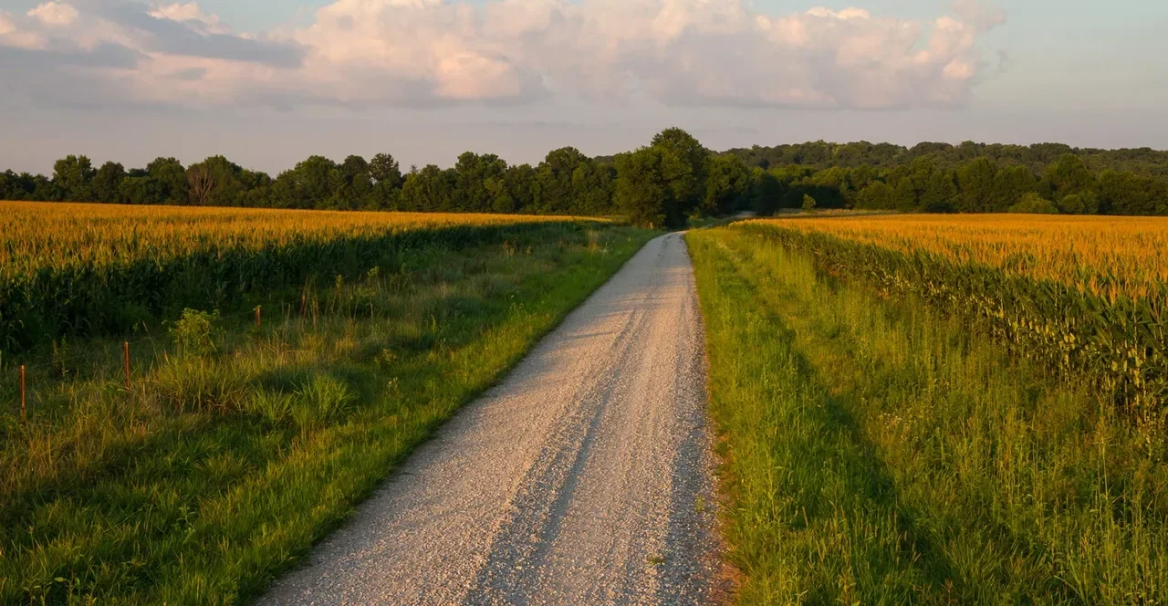 The Mid-West (2014)