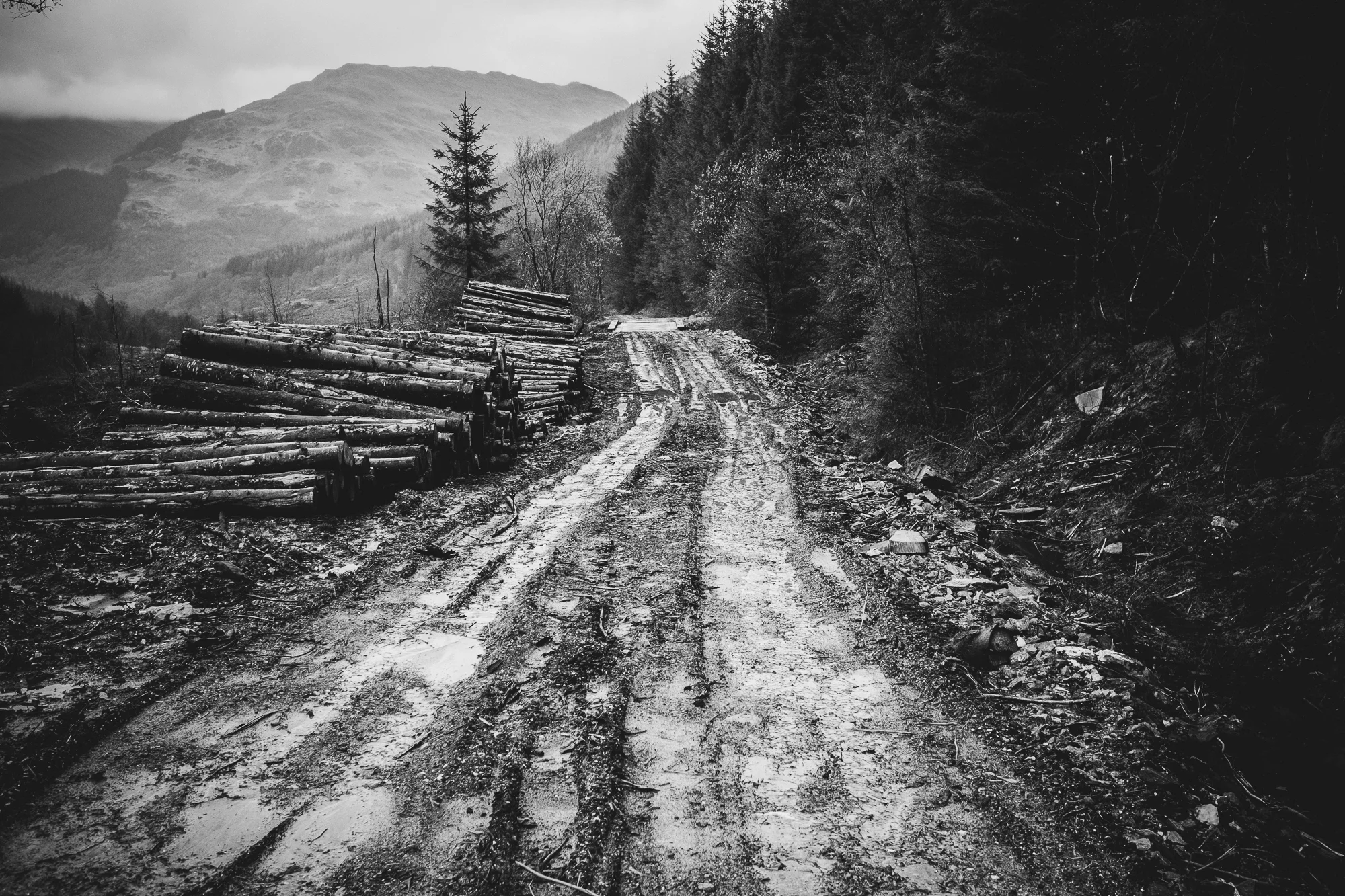 Scotland-58-Exposure.jpg