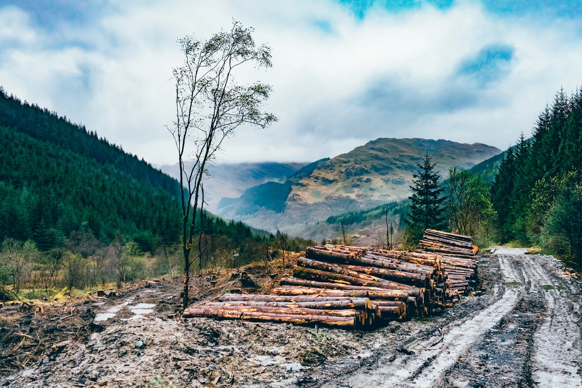 Scotland-57-Exposure.jpg