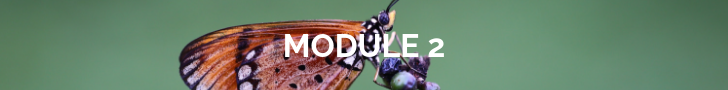 module 2.png