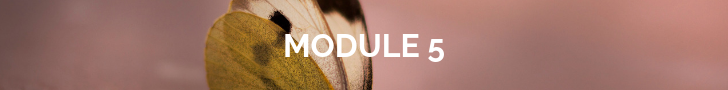 module 5.png