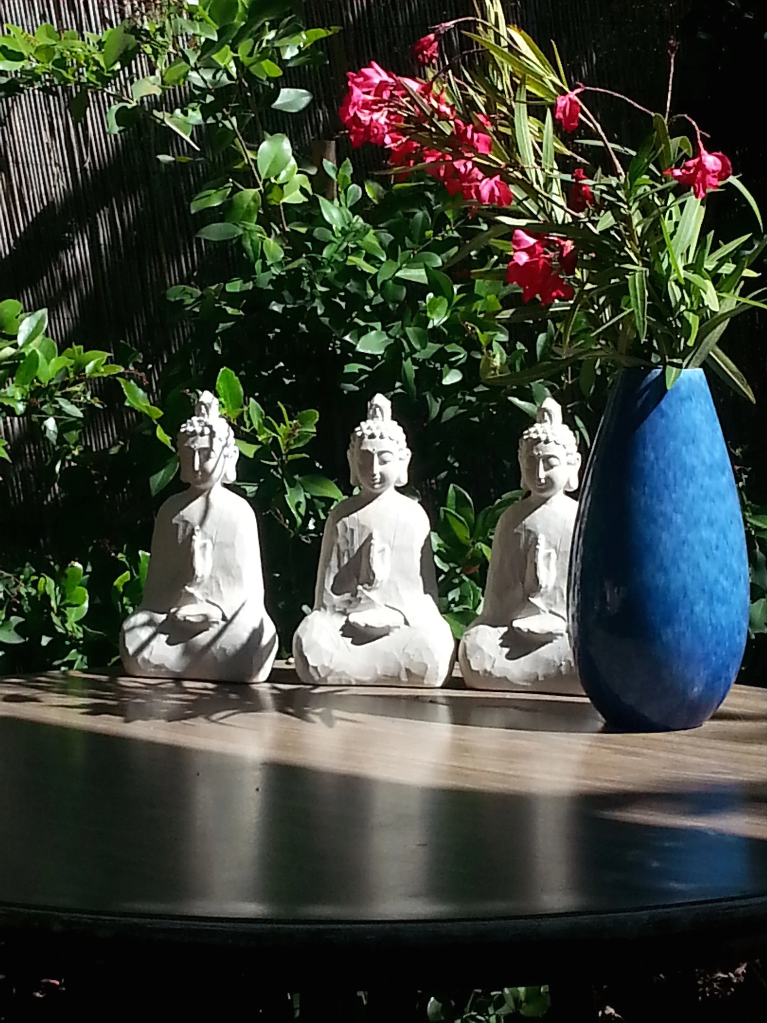20160812_101632.jpg