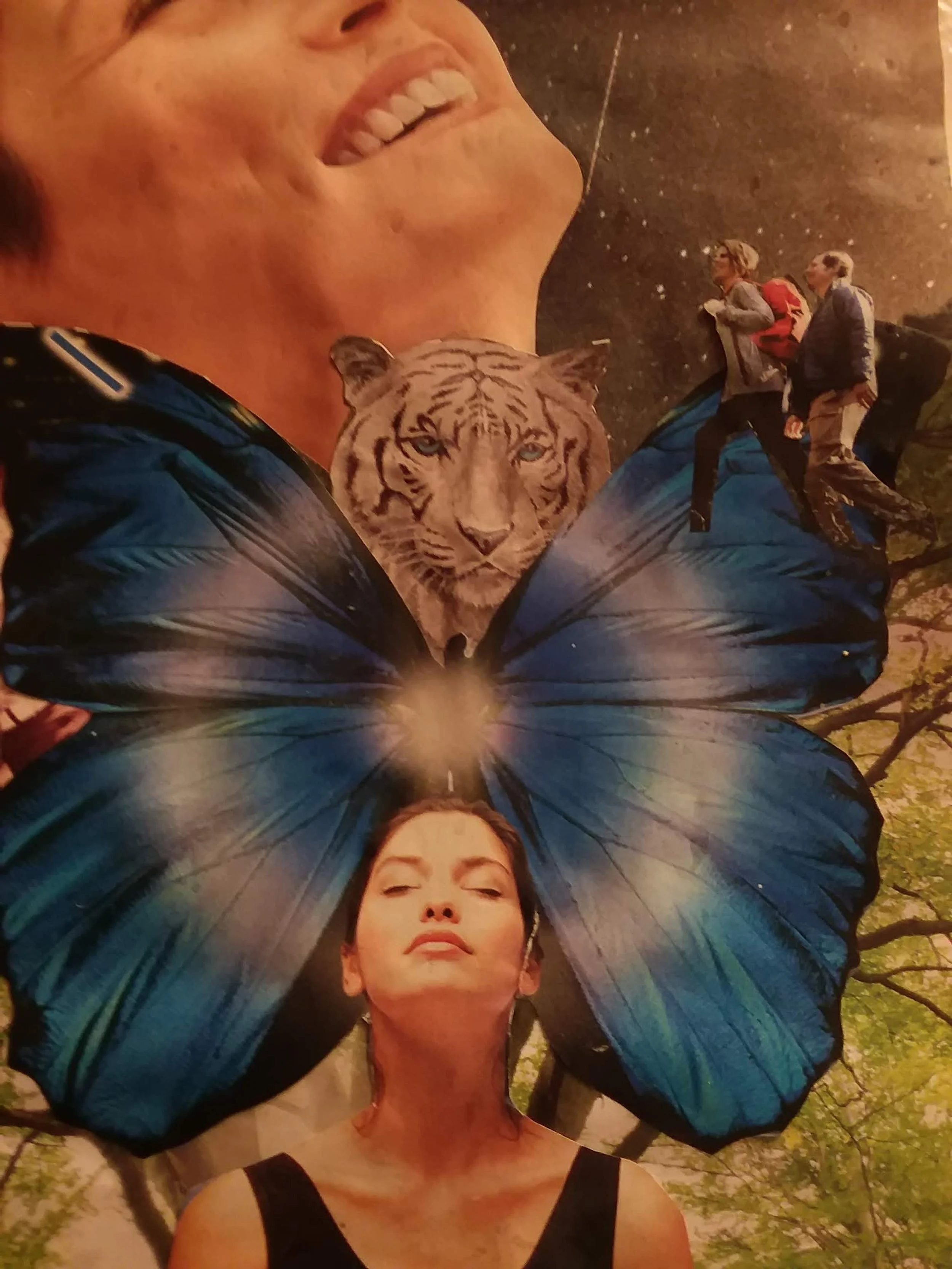 blue butterfly collage.jpeg