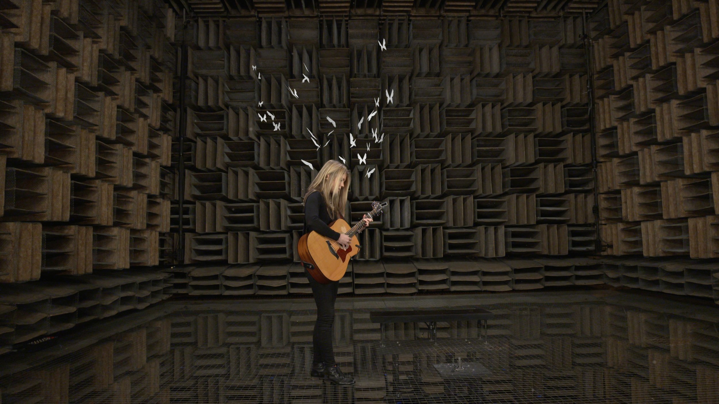 Beatie Wolfe - 2017 Raw Space - in Bell Labs Anechoic Chamber by Theo Watson (1)