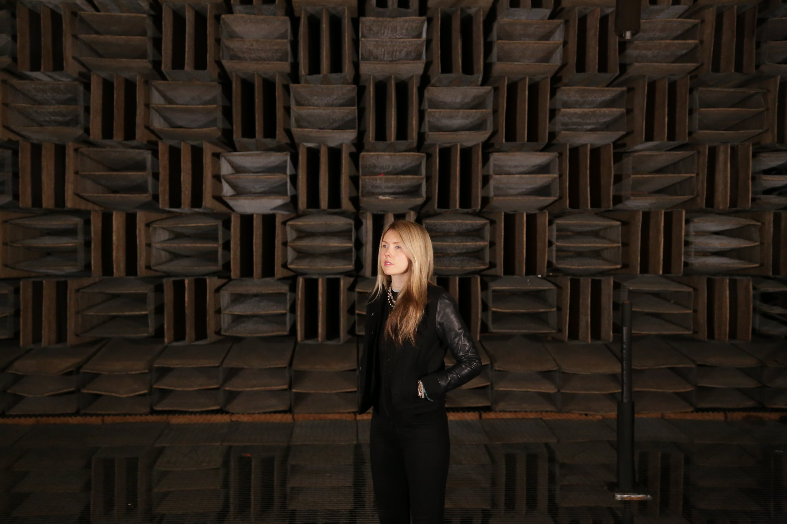 Beatie Wolfe - 2017 Raw Space - in the Bell Labs Anechoic Chamber by Theo Watson (4).JPG