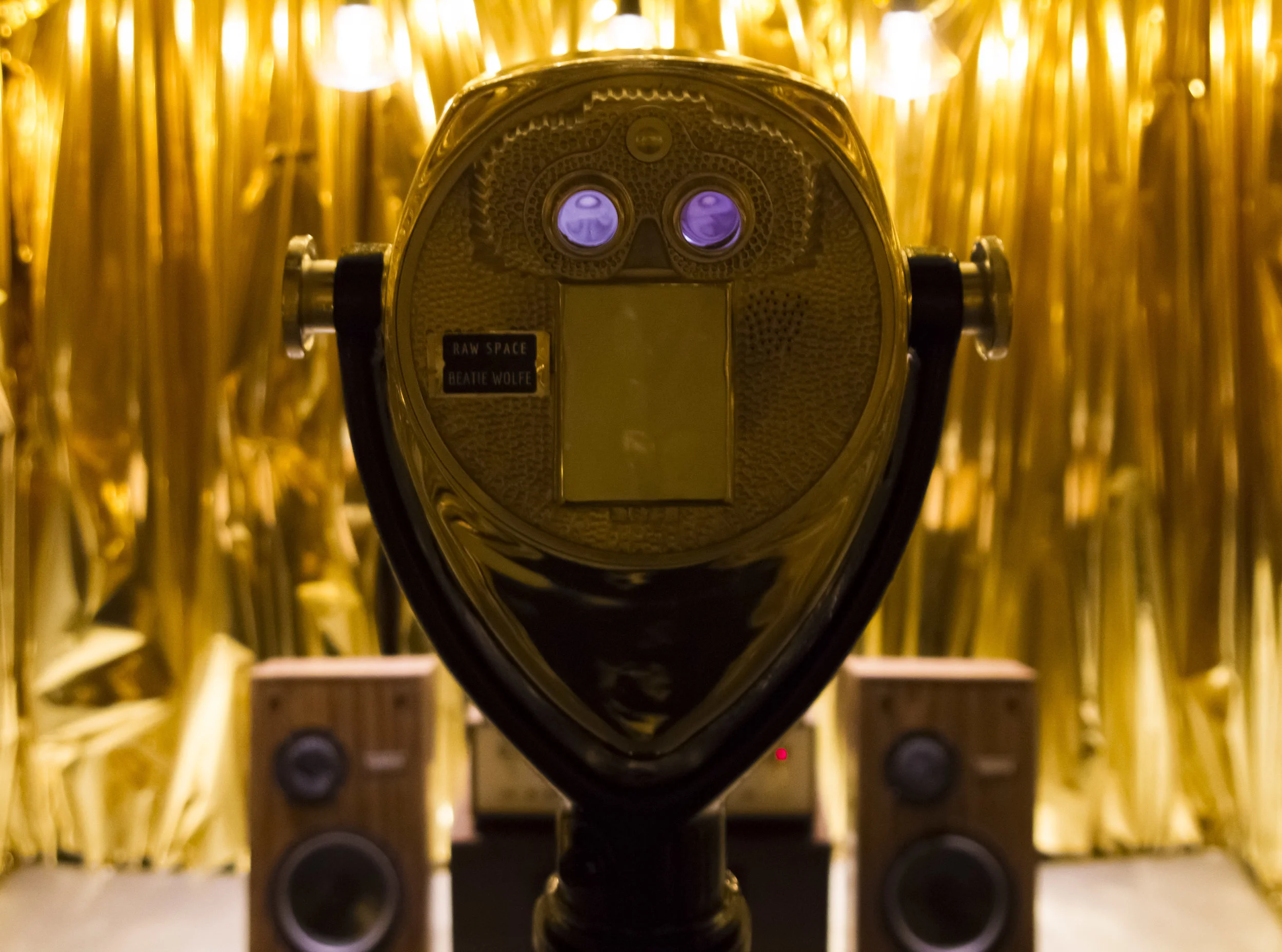 Beatie Wolfe - 2018 Raw Space Chamber - an AR Vinyl Experience 02 - photo Ivalyo Getov.jpg