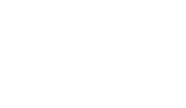 TAYLOR_Guitars Logo on Transparent.png