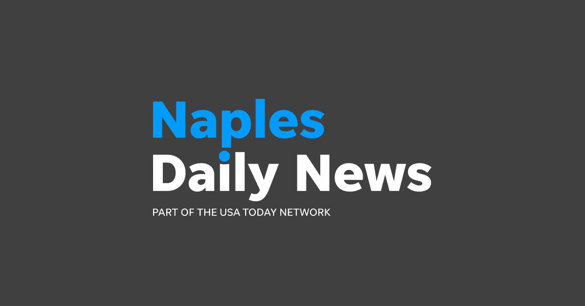 Naples Daily Newspaper highlight Wolfe x Mothersbaugh exhibition
