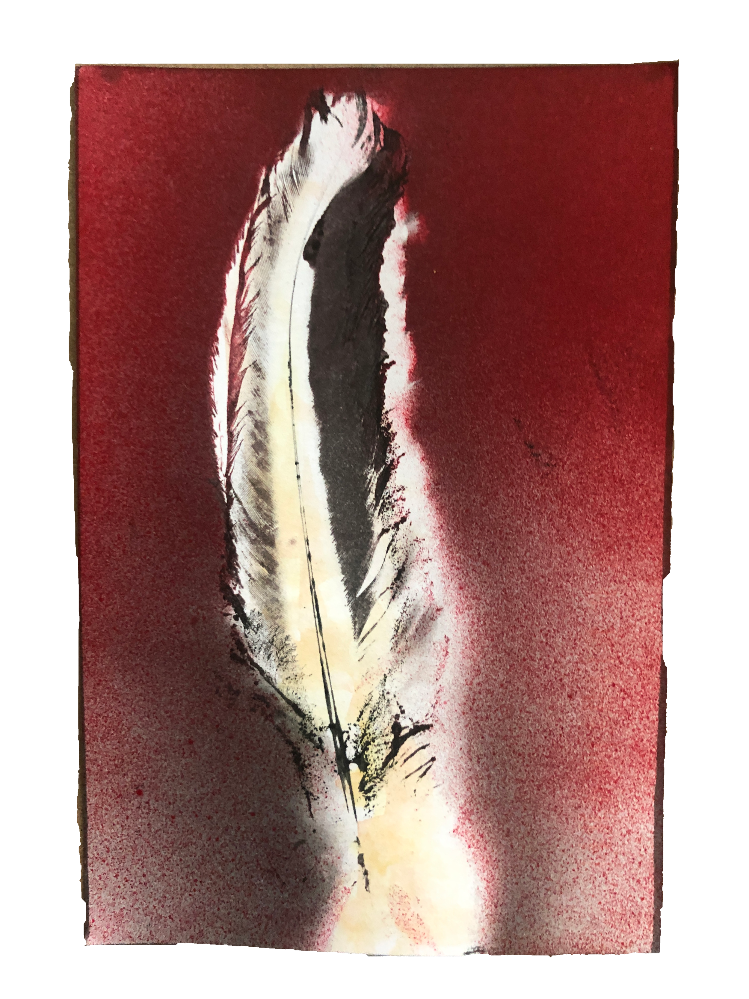 Feather by Edwin Nutting.png
