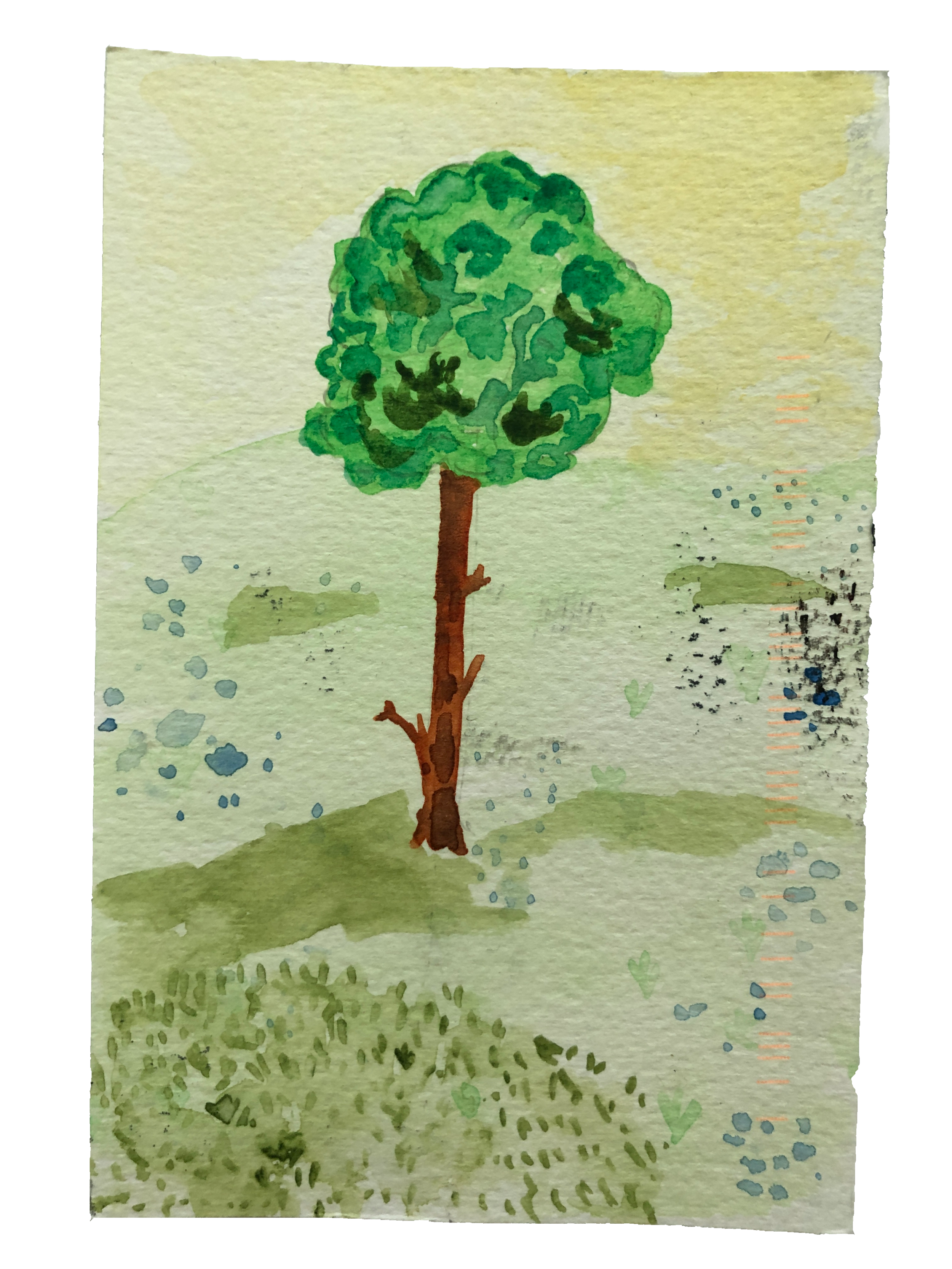 Tree by Tate Crowley.png