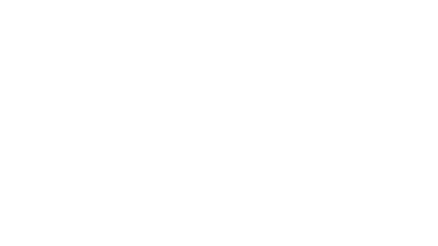 vdf logo png.png