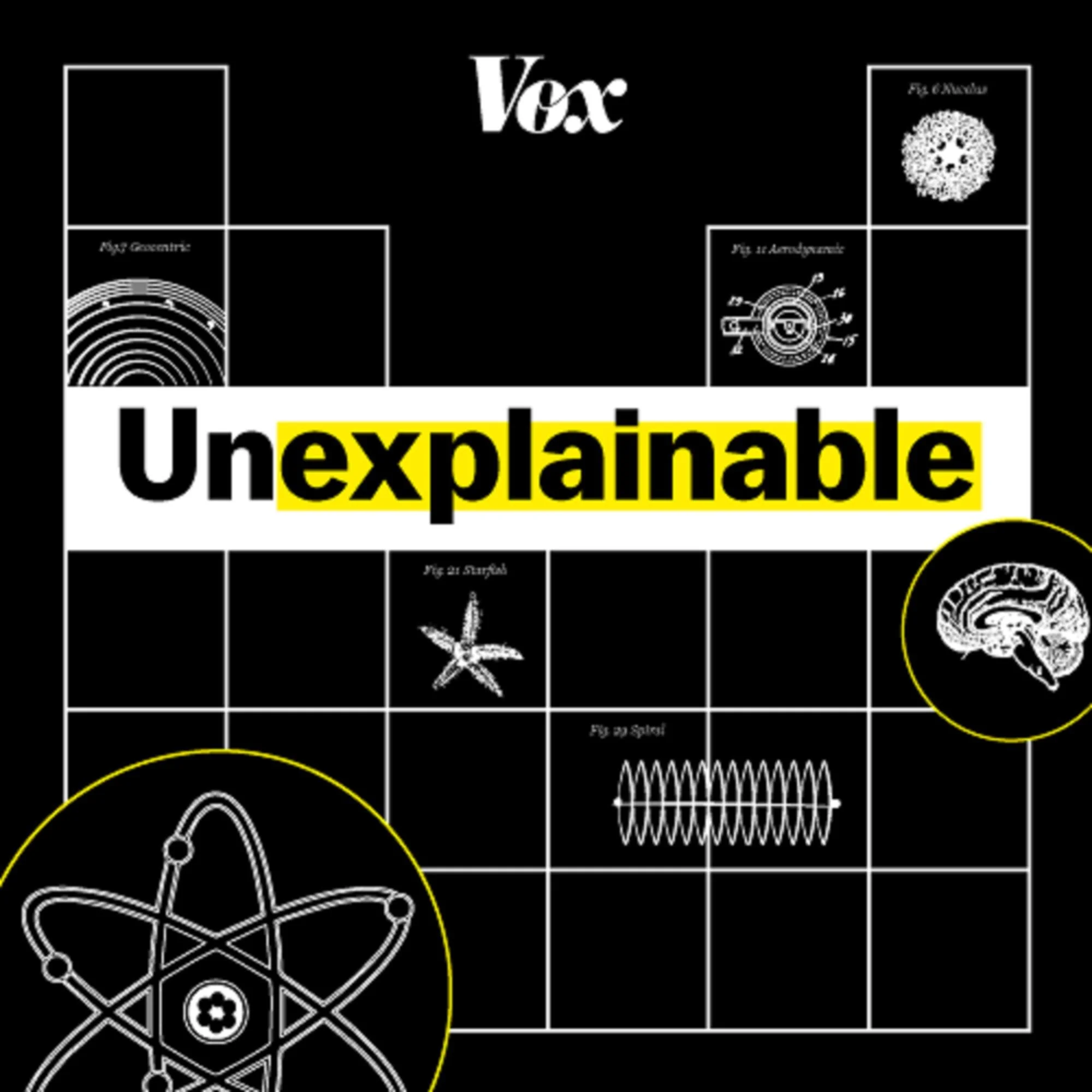 Vox Unexplainable on Beatie, Brian & Bob