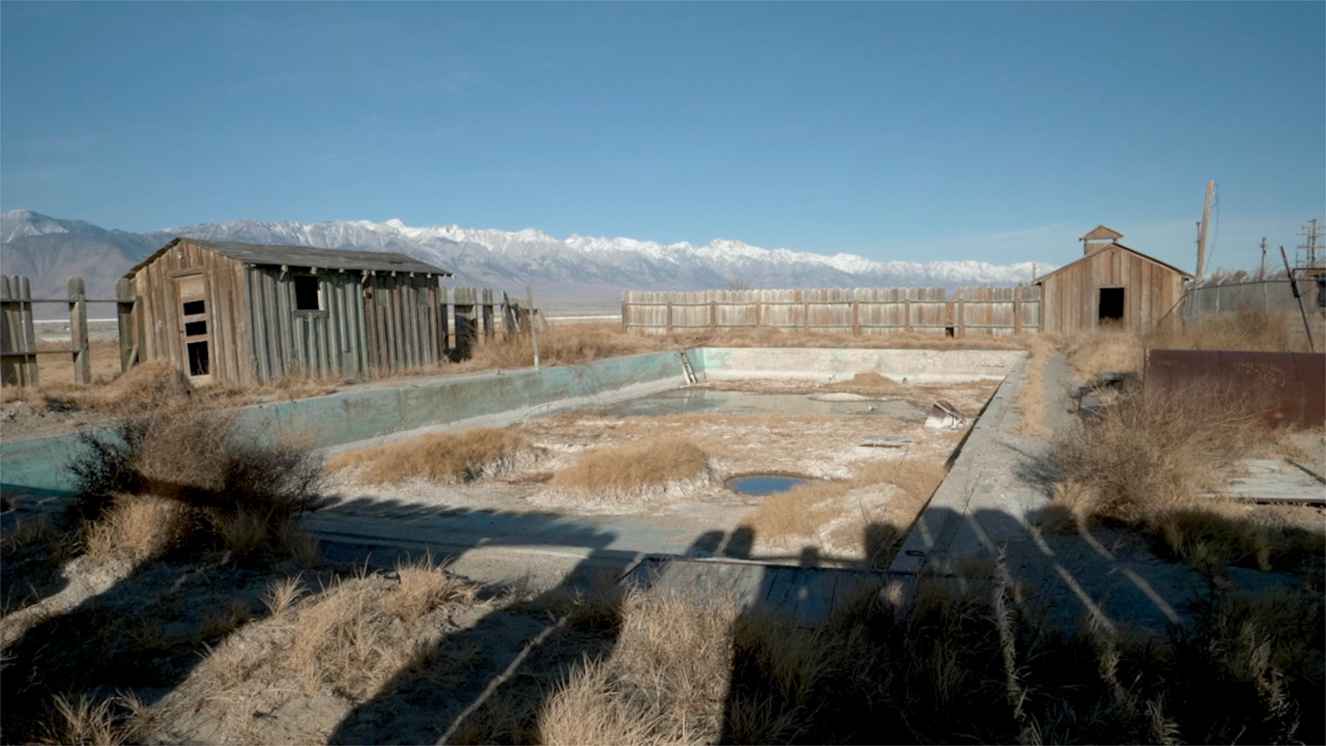 LA Pipedream Jan 2026 webtrailer.png