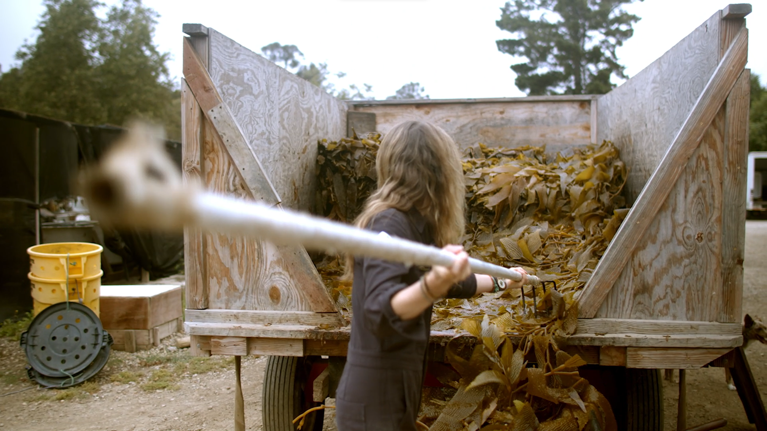 Beatie Wolfe at NOAA Abalone Conservation yard by Ross Harris (1).png