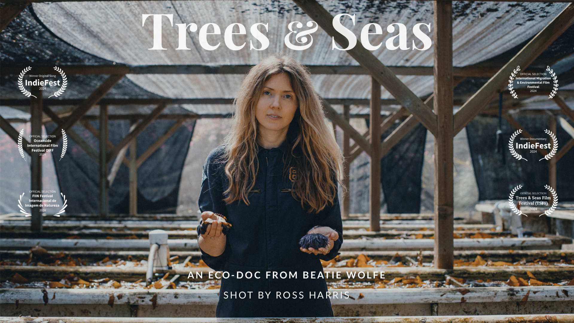 Trees and Seas hold poster design - landscape vlr.png