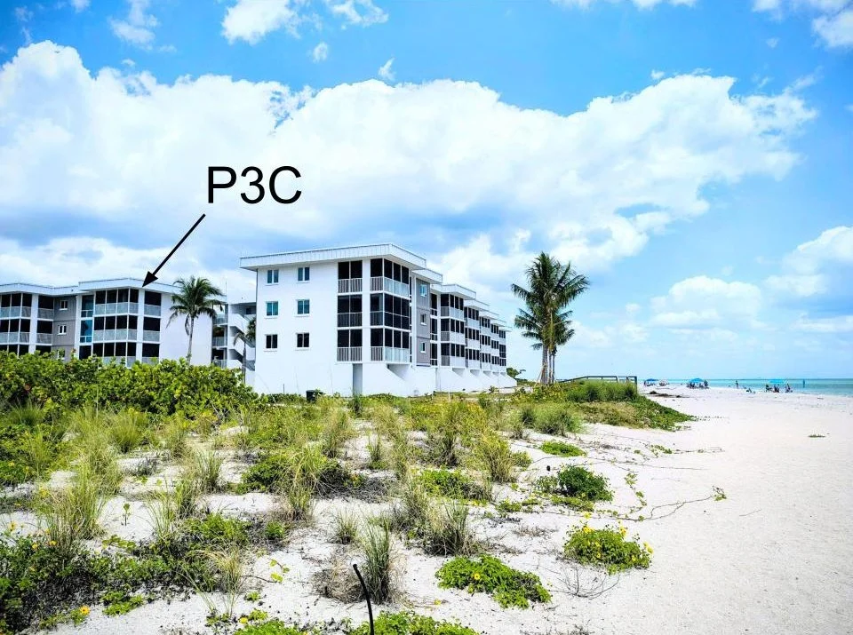 Untitled drawing.jpg