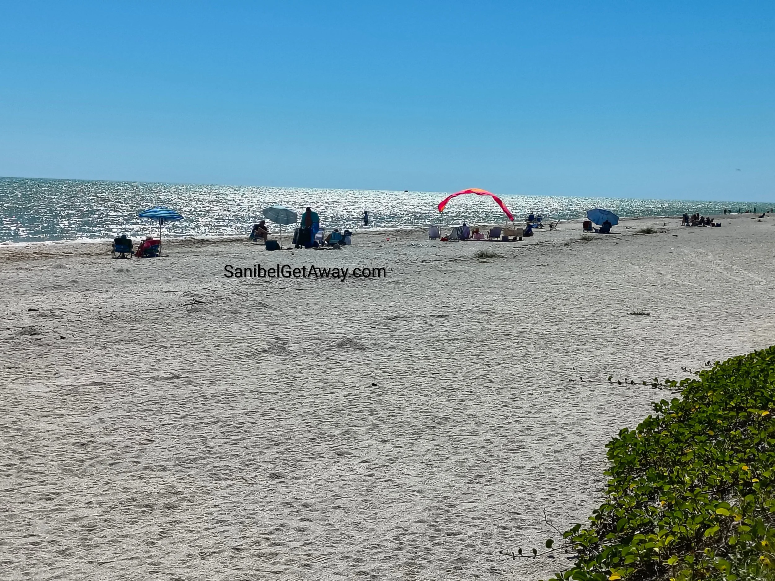 IMG_20260323_155012157_HDR~2.jpg