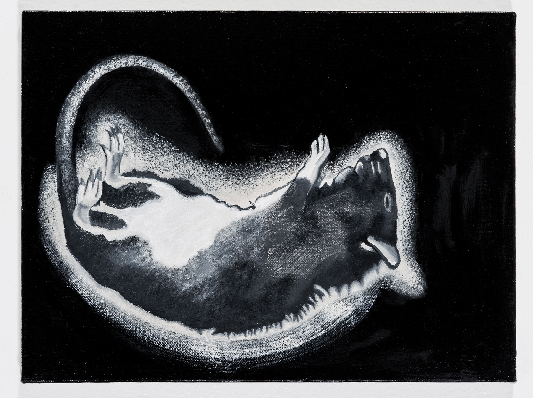Glue Trap