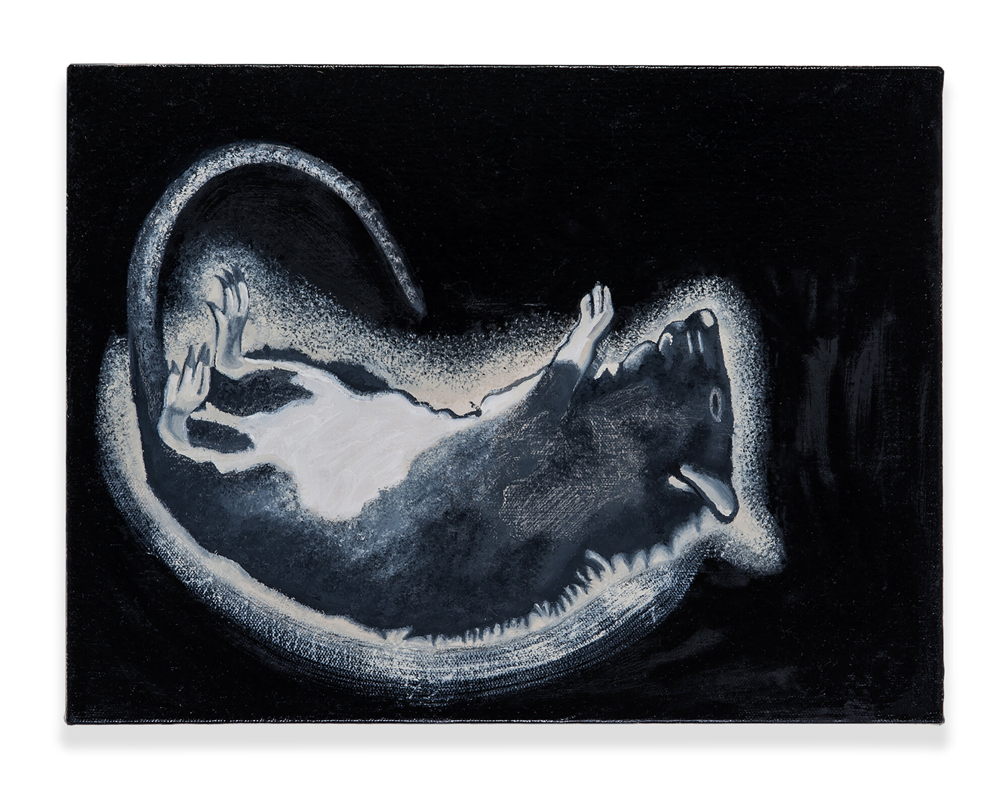 Glue Trap (Terminix), 2018
