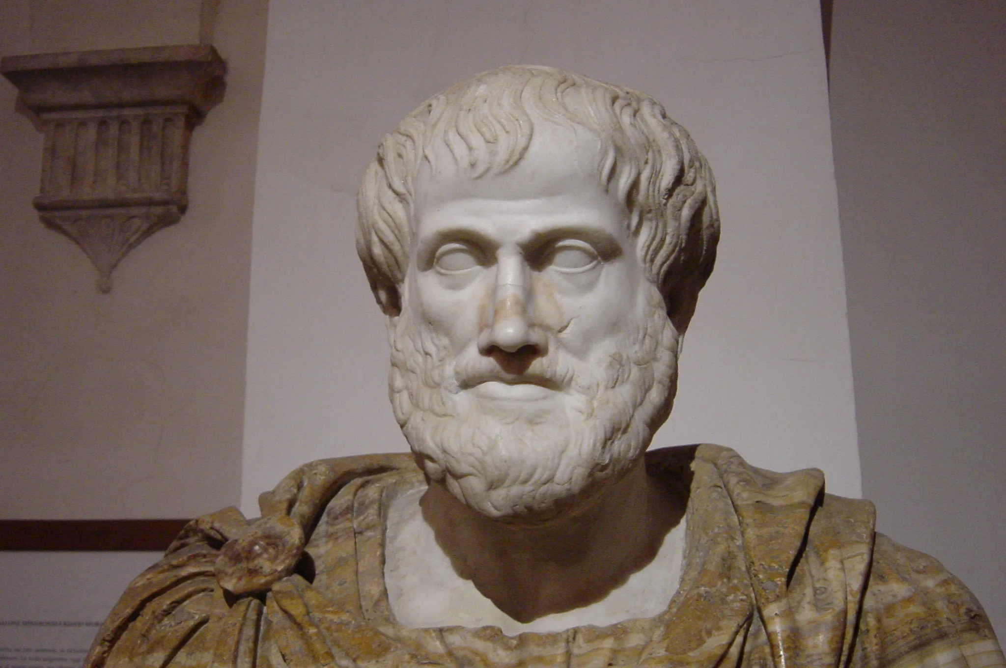 Aristotle.jpg