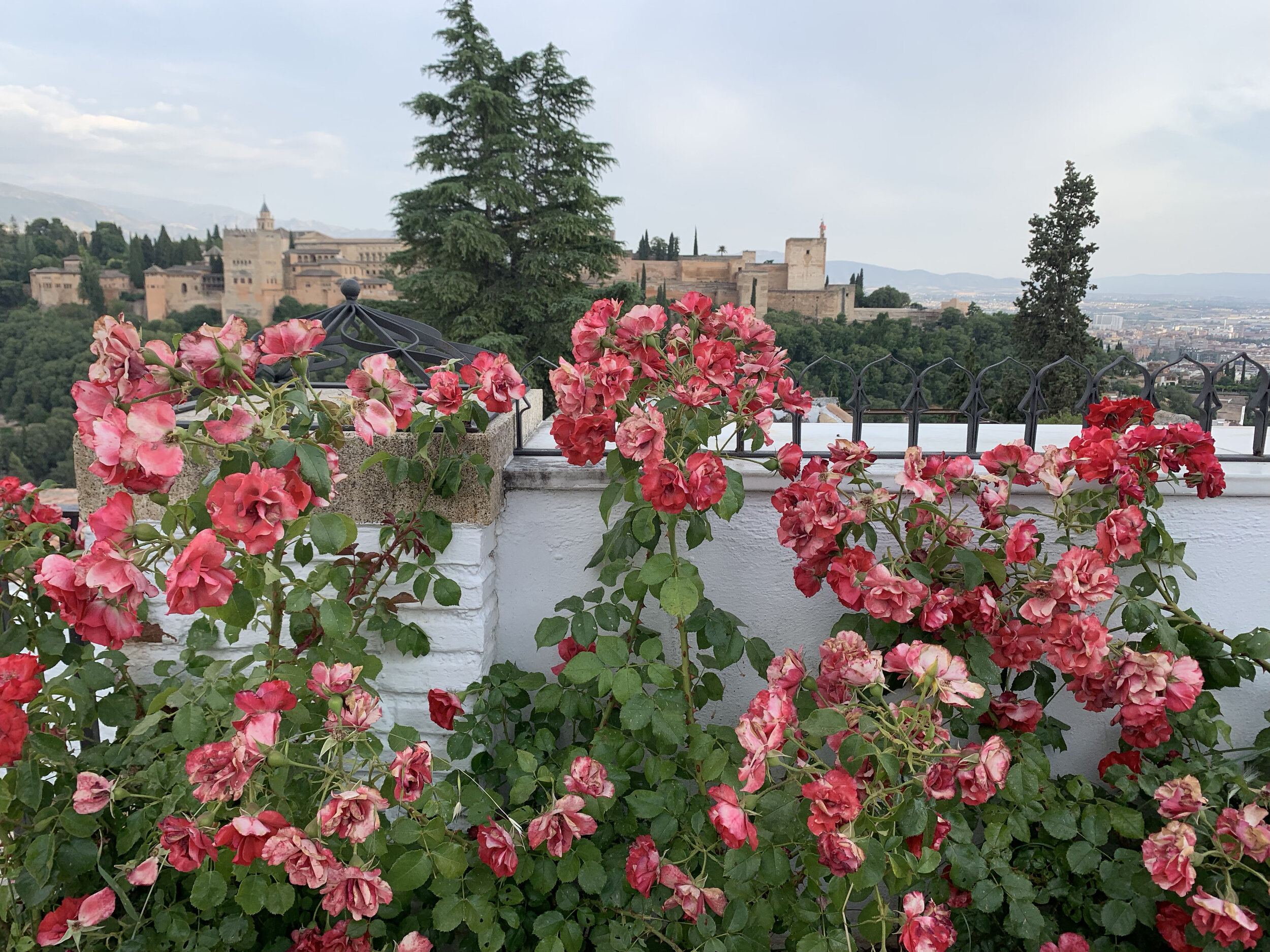 Roses and Alhambra.jpg
