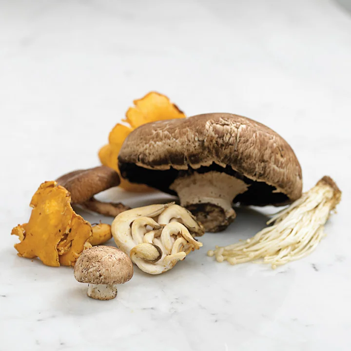 MUSHROOM_018.jpg