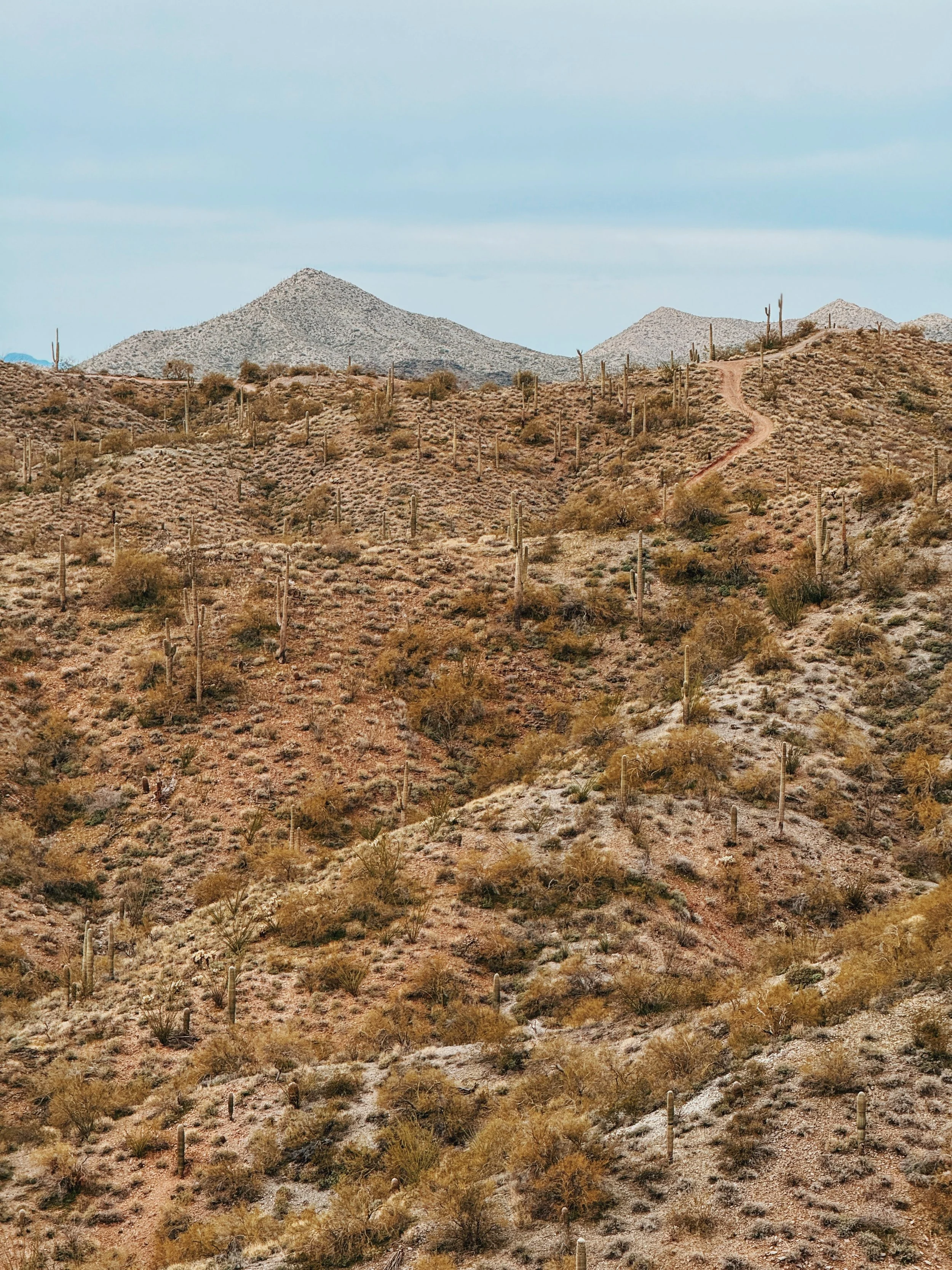 FullSizeRender_VSCO 2.JPG