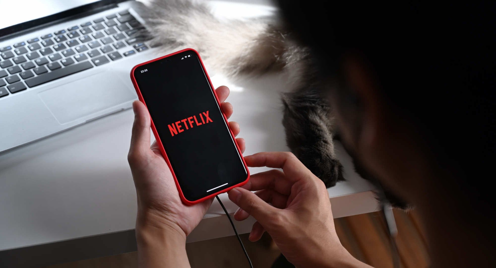 What is a Netflix Queue