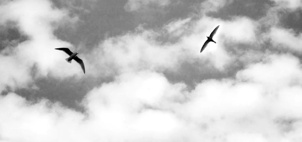 About_sky-02bw.jpg