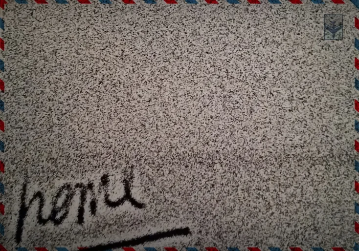 write home