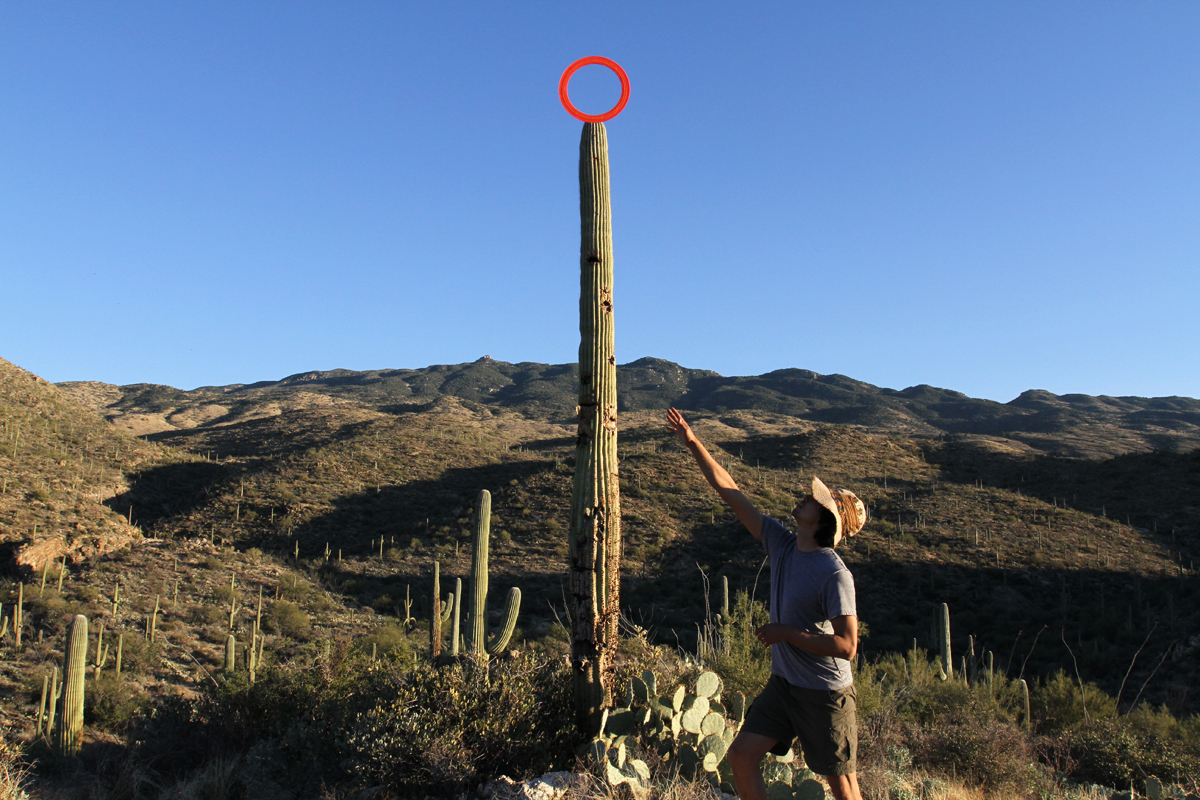 saguaro.jpg