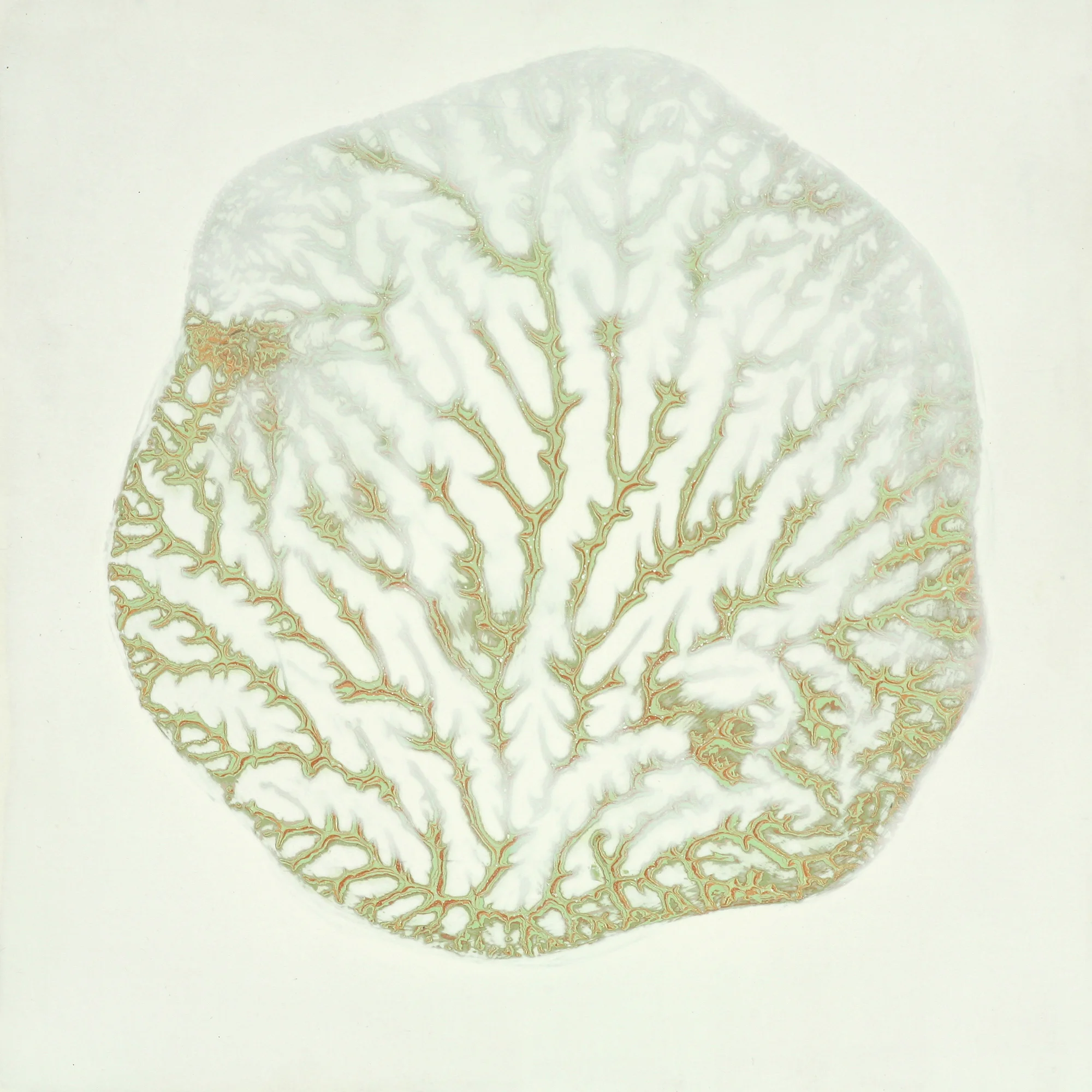 untitled, 2007, acrylic on panel, 14 x 14