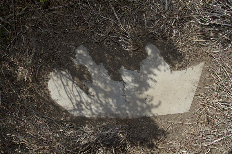 Sightlines #6, October 2014