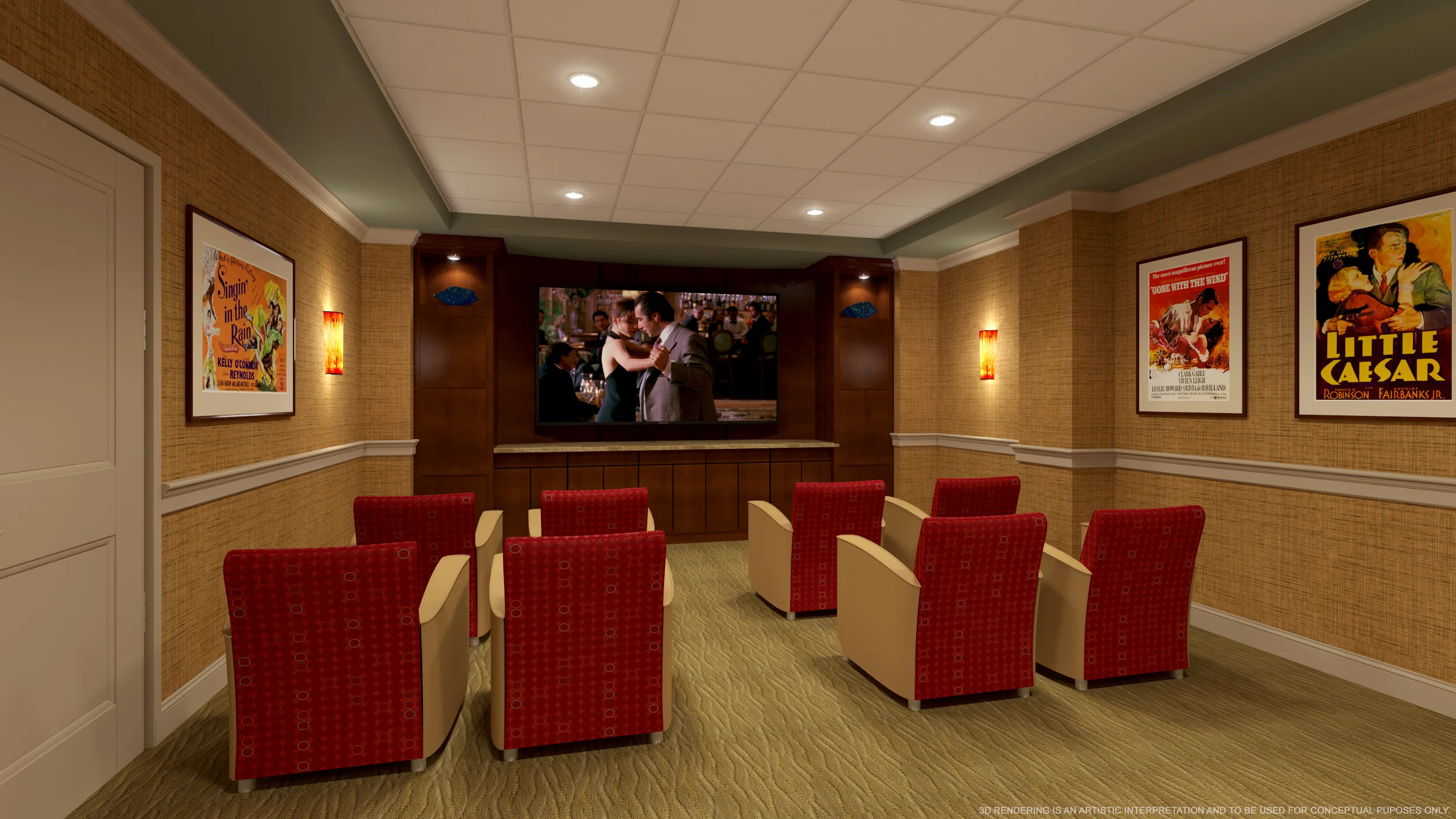 Movie/Entertainment Room