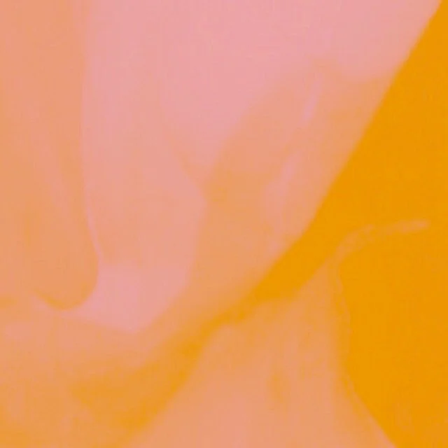 20150403_6259.JPG