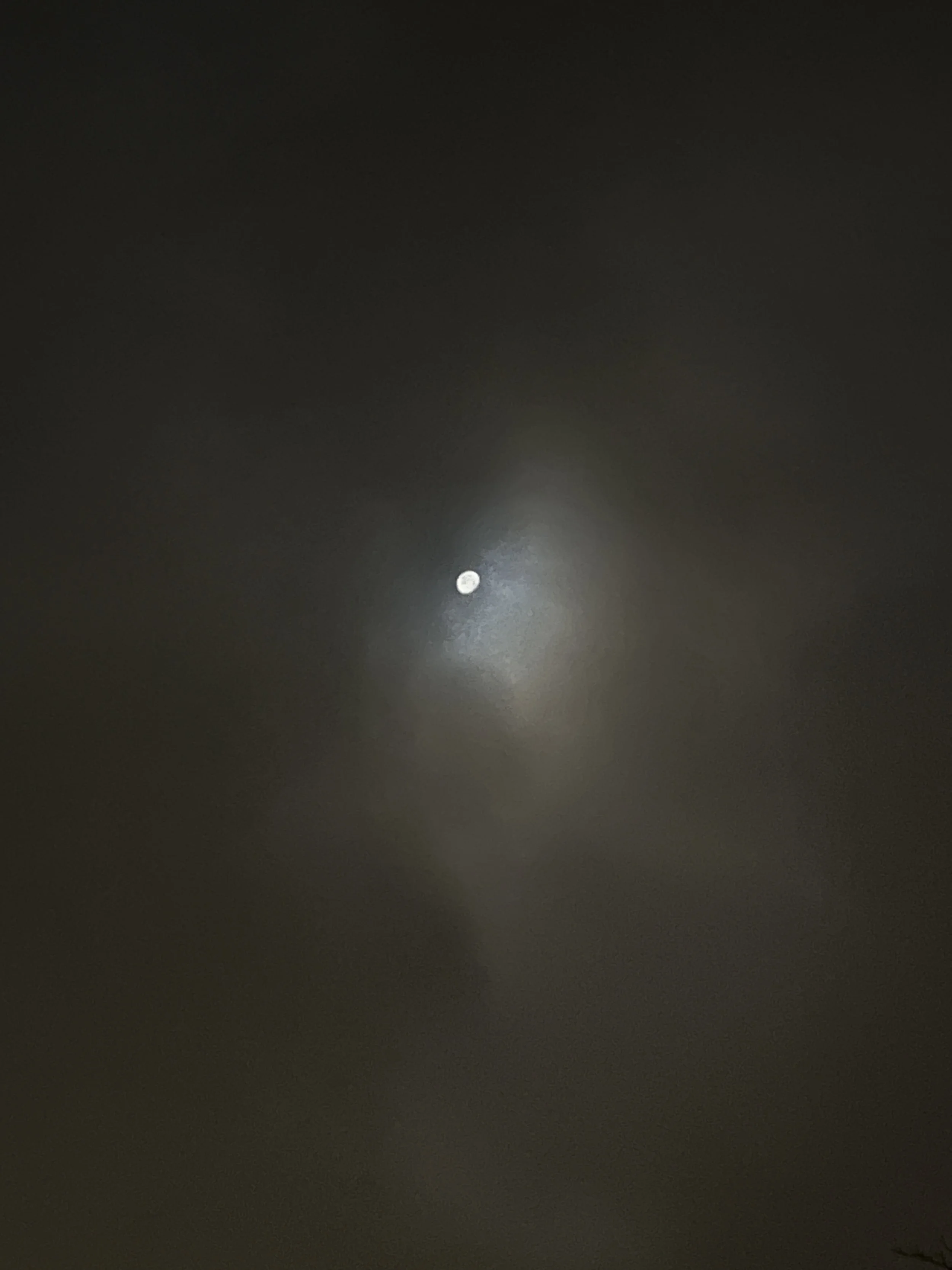 IMG_1151.jpeg