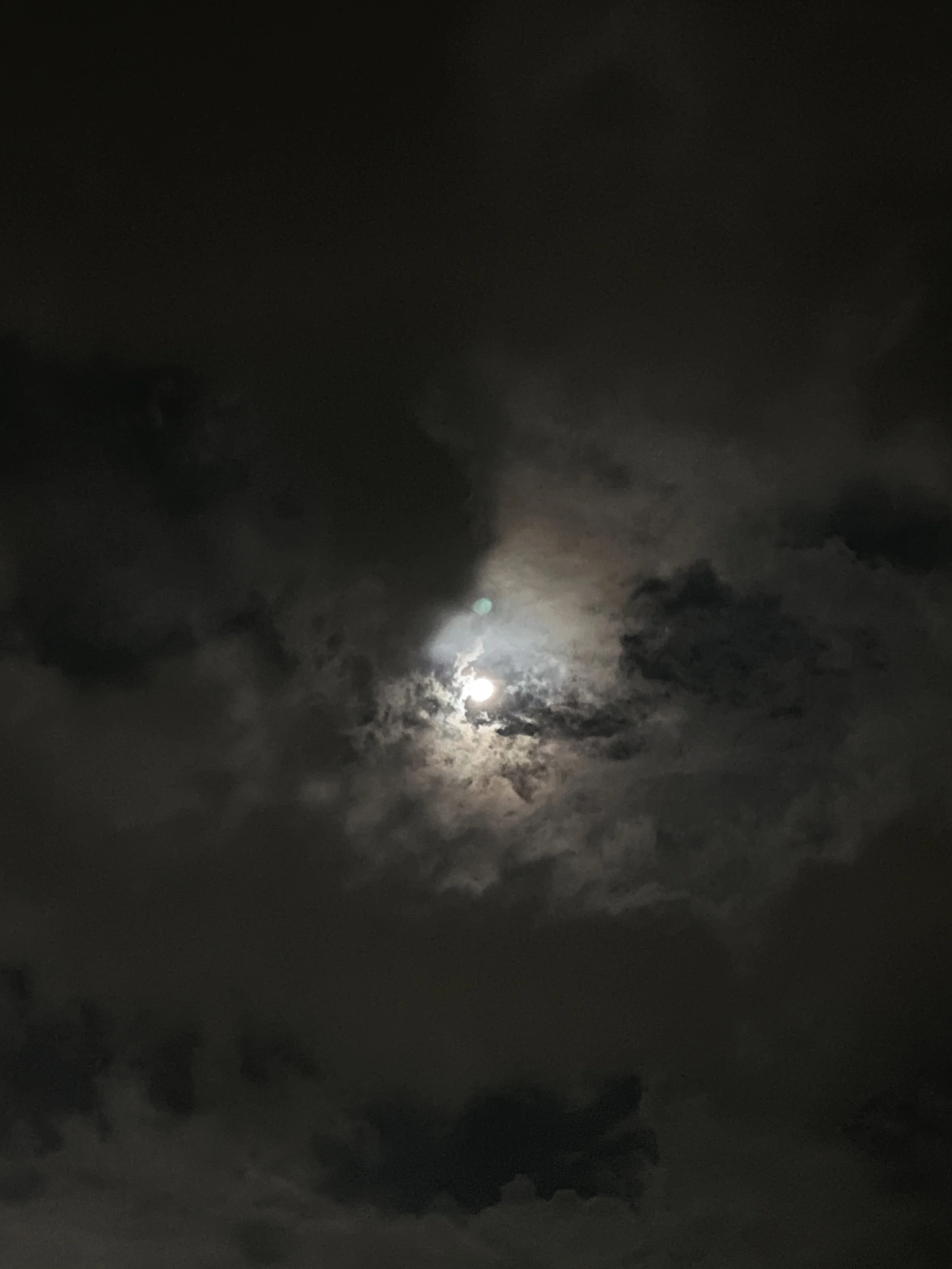 IMG_6125.jpeg