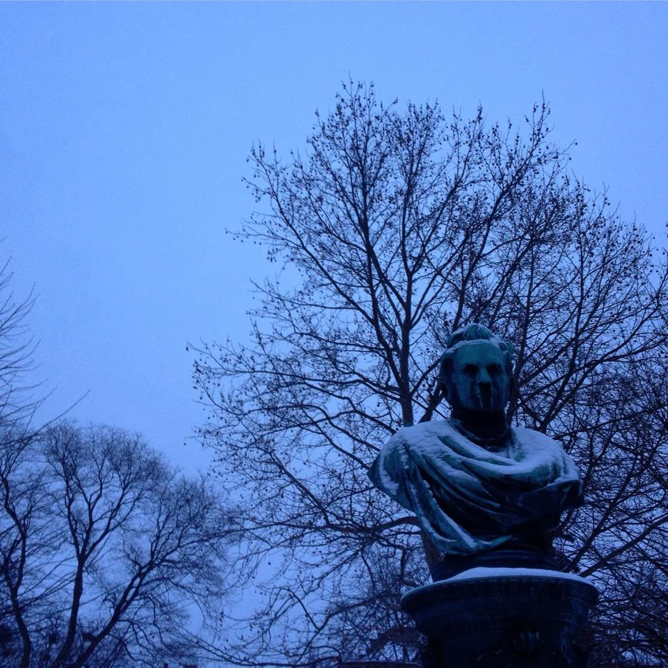 From Vienna to Budapest: Between the woods and the water