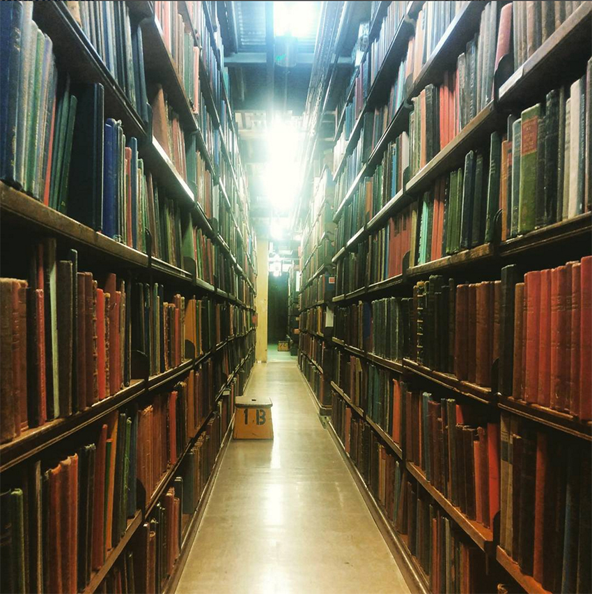 libraryshelves.jpg