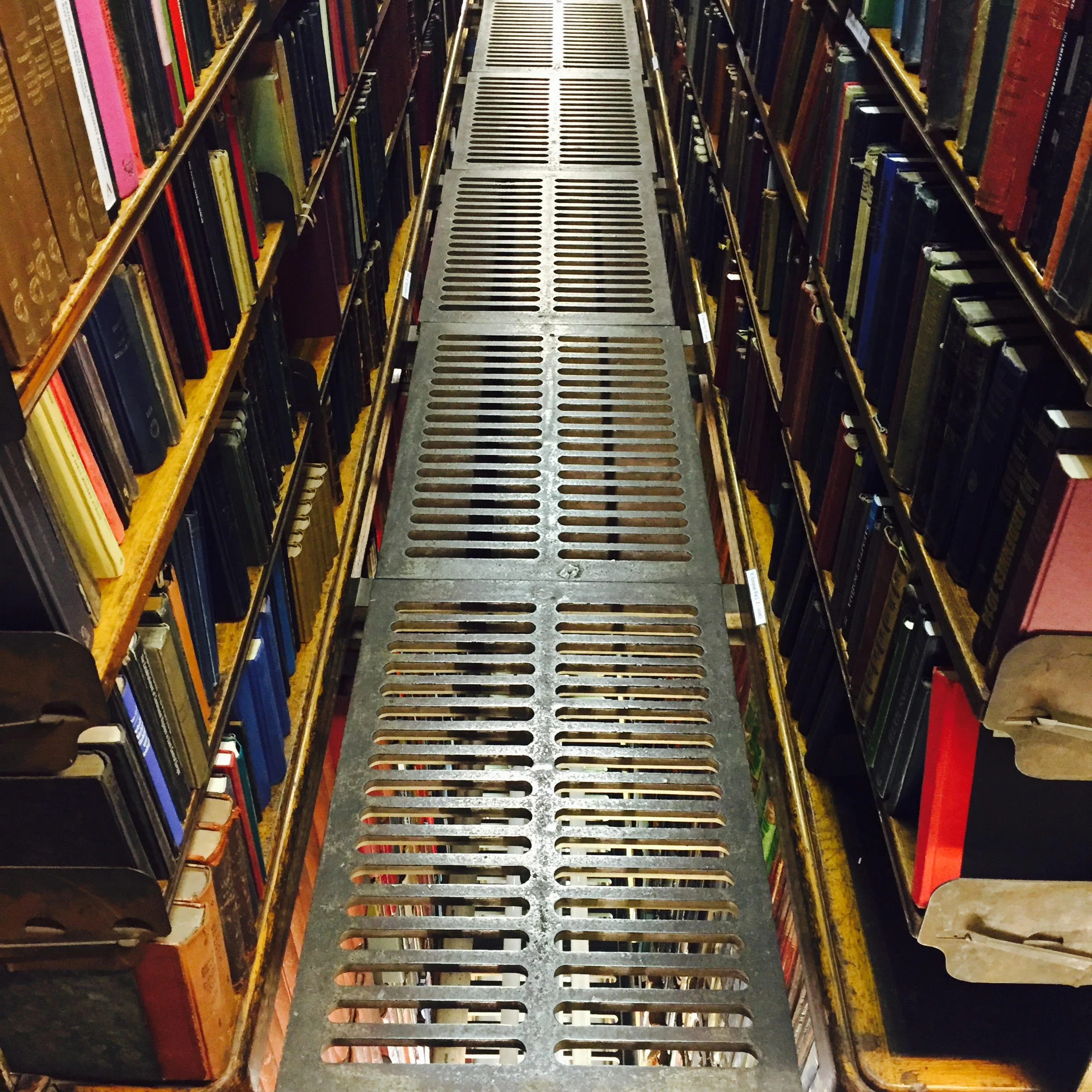 LOST IN THE THE LONDON LIBRARY