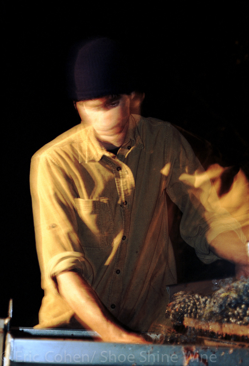 Life and Times of a micro-Winery,  Part I