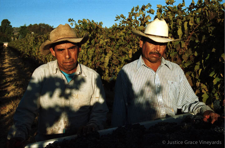 Immigrant farmworkers