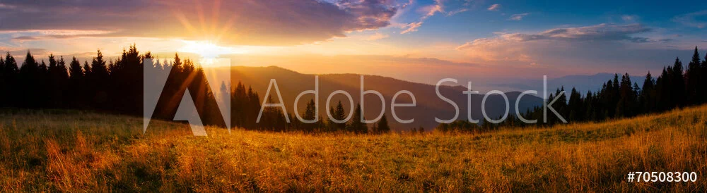 AdobeStock_70508300_Preview (1).jpeg