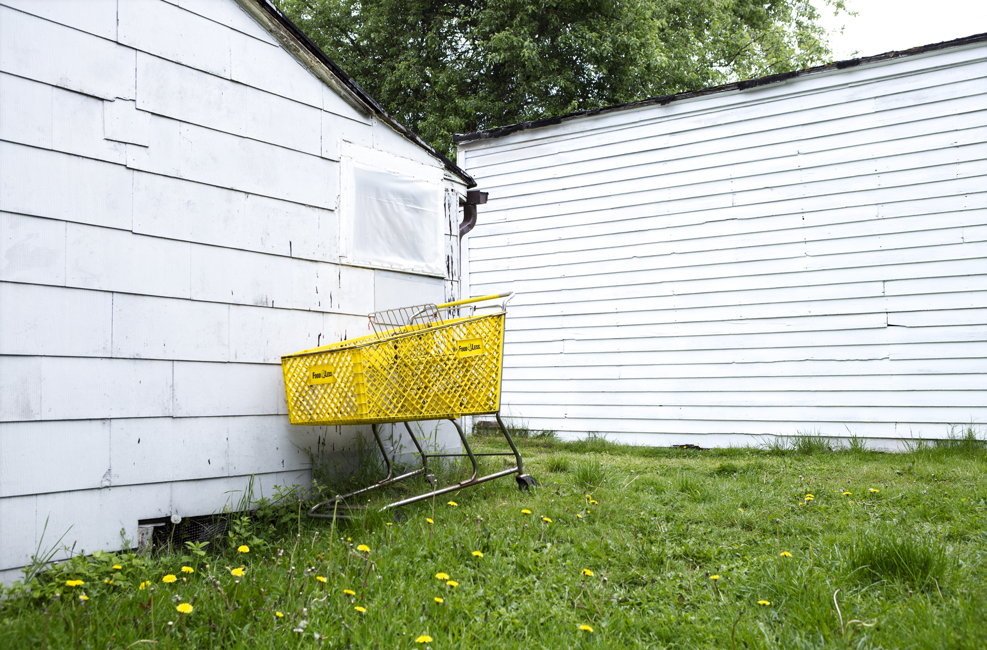 yellow_shopping_cart_in_yard_web.jpg