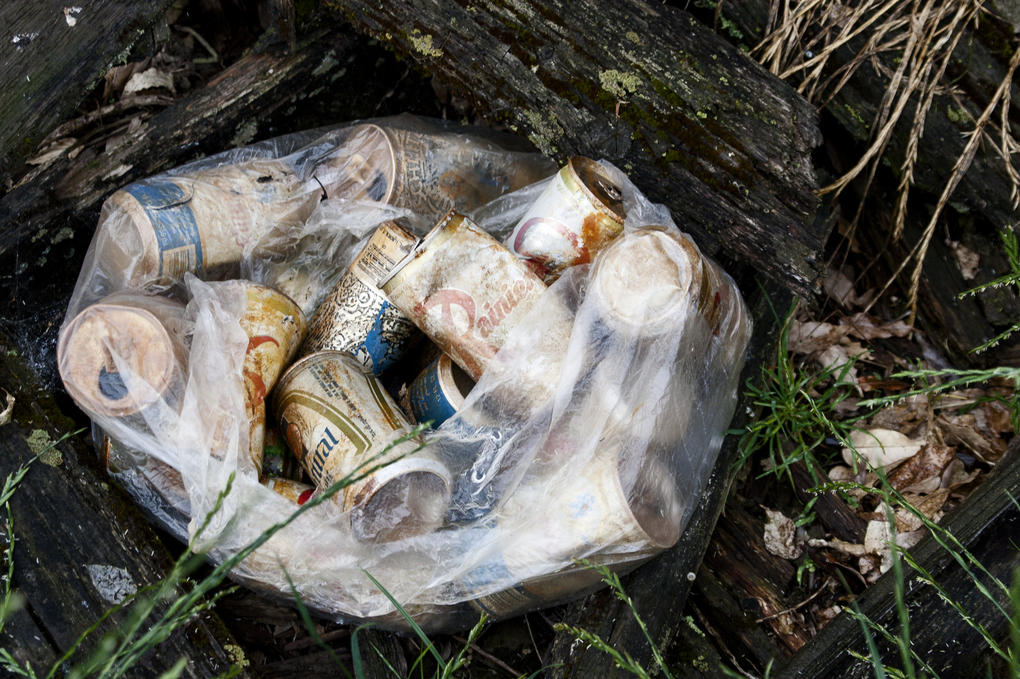 bag_of_old_beer_cans_web.jpg