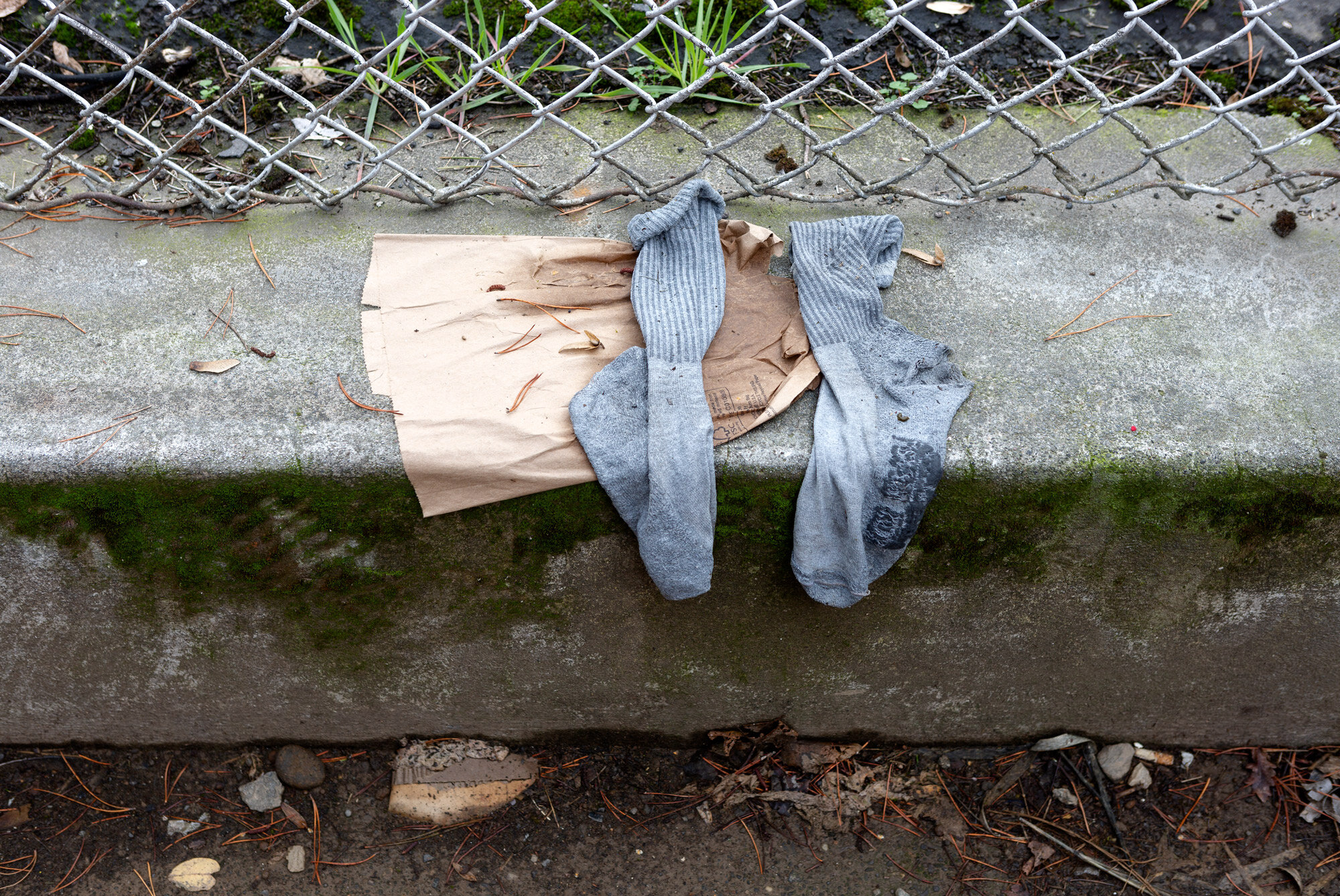 two-socks-on-a-paper-bag-on-a-curb-web-.jpg